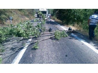 Pkk’lı Bir Grup Erzincan-tunceli Karayoluna Bomba Tuzağı Kurdu