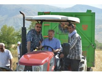 Vali Kahraman Hasat Çalışmalarını Yakından İnceleyerek Traktör Kullandı
