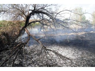Van’da Mezarlık, Ağaç Ve Ot Yangını”