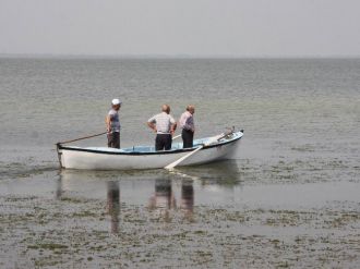 (Özel Haber ) Şeytan Adasında Can Pazarı