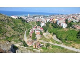 Hamsi Deresi Tertemiz Akacak