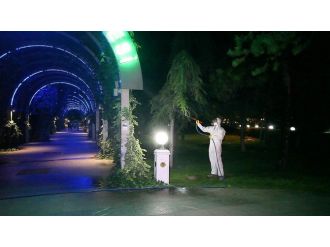 Odunpazarı Belediyesi Ağaçları Koruyor