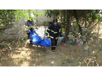 Köpeğini Gezdirirken Ceset Buldu