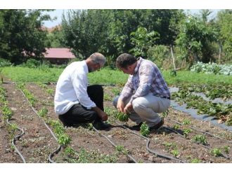 Büyükşehirden Çiftçiye Destek Devam Ediyor