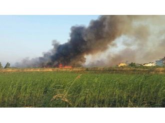 Edremit’te Sazlık Tekrar Yandı