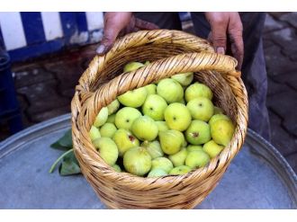 Yerli İncirin Kilosu 5 Tl’den Satılıyor