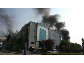 Osb’de Korkutan Uangın