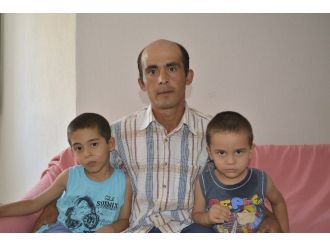 Başıboş Köpekler Sokakta Korku Saçıyor