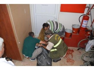 Yola Fırlayan Yavru Ceylana Otomobil Çarptı