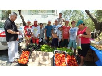 Burhaniye’de Kampa Katılan Öğrenciler Pazarcı Oldu