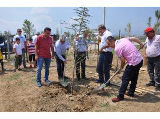 Afet Evleri Yeşilleniyor