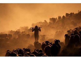 Nemrut’an Van Gölü’ne Uzanan Tozlu Yolculuk