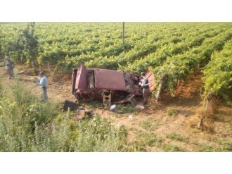 Otomobil Üzüm Bağına Uçtu: 7 Yaralı
