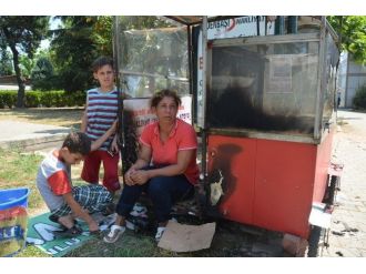 Zabıtaya Kızdı, Ekmek Teknesini Yaktı