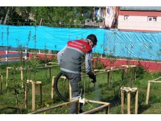 Büyükşehir’in Çevre Timleri İş Başında