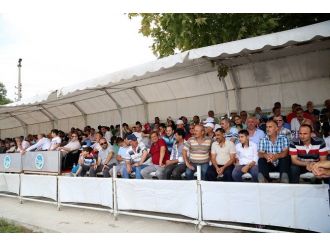 Sapanca’da Mahalli At Yarışlarına Yoğun İlgi