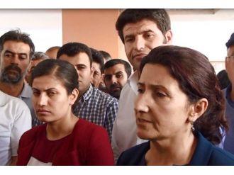 Mardin Valiliği Bahçesindeki Oturma Eylemi Sona Erdi