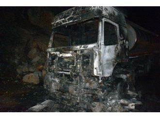 Pkk’lılar Nusaybin-midyat Karayolunda 2 Araç Yaktı