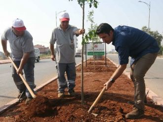Döşemealtı Turunç Ve Narenciye Kokacak