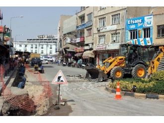 Caddelerin Eşilmesine Tepki