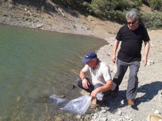 Çanakkale’de Göletlere 30 Bin Balık Bırakıldı
