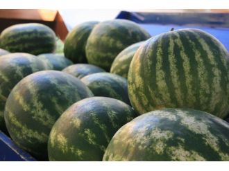 Sıcak Günlerin Serinleten Meyvesi