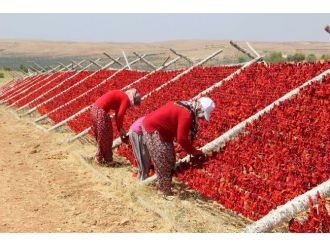 Sıcak Hava En Çok Onların Yüzünü Güldürüyor