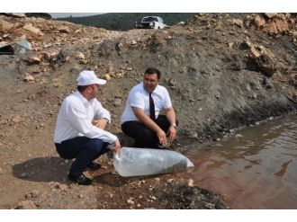 Büyükşehir’den Göletlere Balık