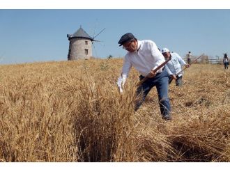 Altınköy İçin Hasat Zamanı