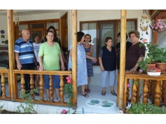 Balıkesir’de Başıboş Köpekler Çocuğu Yaraladı