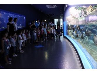 Sıcaklık Onları Etkilemiyor