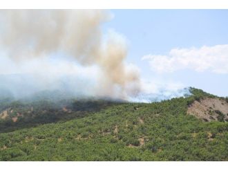 Tunceli’de Orman Yangını