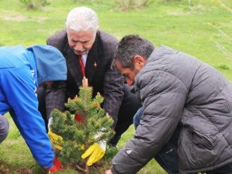 Eski, Tesislere 3000 Fidan Dikti