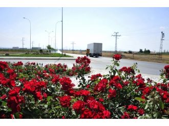 Karaman’da Çevre Yolları Ve Kavşaklarda Peyzaj Çalışması