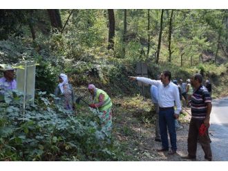 Kertil Mesire Alanında Temizlik Çalışması Yapılıyor