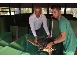 Başkan Tarhan’dan 100. Yıl Plajı İçin Mersin Halkına Çağrı