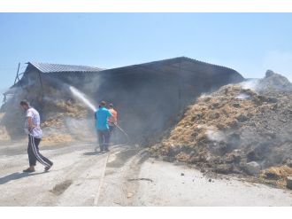 40 Ton Buğday Yangında Kül Oldu