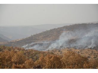 Mardin Bagok Dağında Yangın