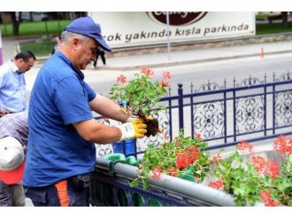 Kastamonu’da Köprüler Süsleniyor