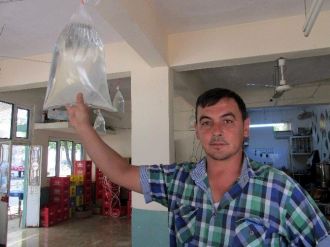 Sineklerden Doğal Yöntemlerle Kurtuldu