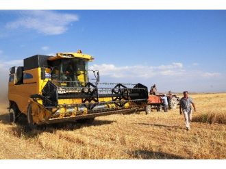 Van’da Hububat Hasadı Başladı