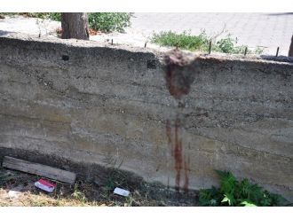 Duvardan Atlamak İsteyen Tay Demirlere Saplandı