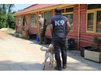 (Özel Haber) Bomba Uzmanı K9 Köpekleri Hayat Kurtarıyor