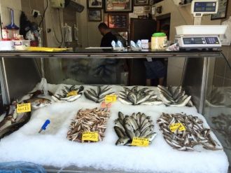 Akçakoca’da Balık Fiyatları Arttı