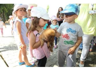 Minikler Hayvan Dostlarıyla Buluştu