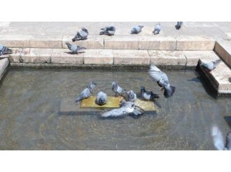 Şanlıurfa’da Sıcak Hava Bunaltıyor