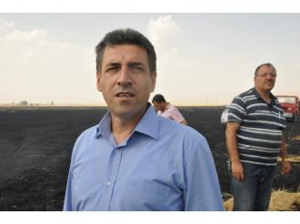 Muş’ta Anız Yangını Büyük Faciya Neden Oluyordu