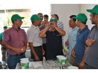 Milas Süt Birliği’nde Hijyen Eğitimleri Devam Ediyor