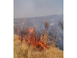 Abdullah Gül Hatıra Ormanında Yangın