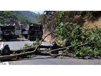 Pkk’nın Kapattığı Yol 6 Gün Sonra Açıldı